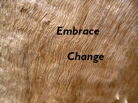 Lesser-Known Signs You Need to Change Your Plan