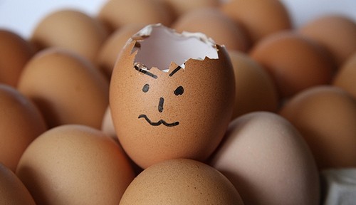 cracked egg