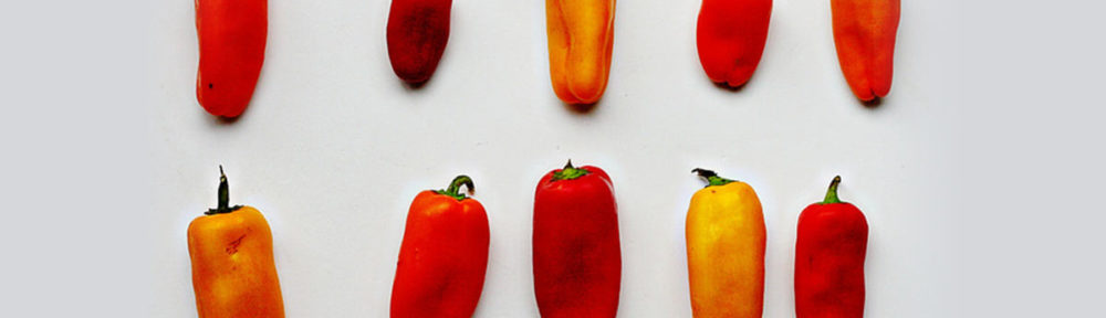 6-Reasons-Not-To-Diversify